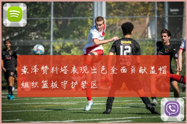 豪泽赞科塔表现出色全面贡献盖帽组织篮板守护禁区
