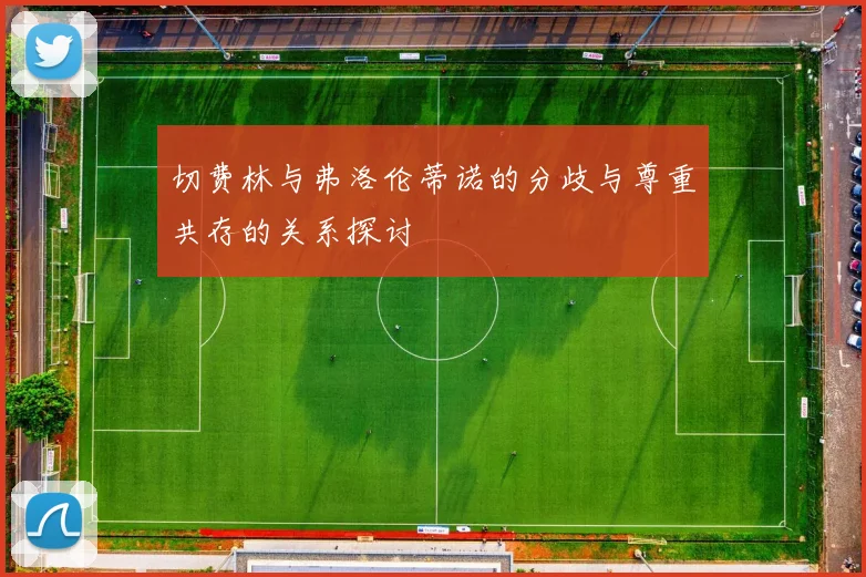 切费林与弗洛伦蒂诺的分歧与尊重共存的关系探讨